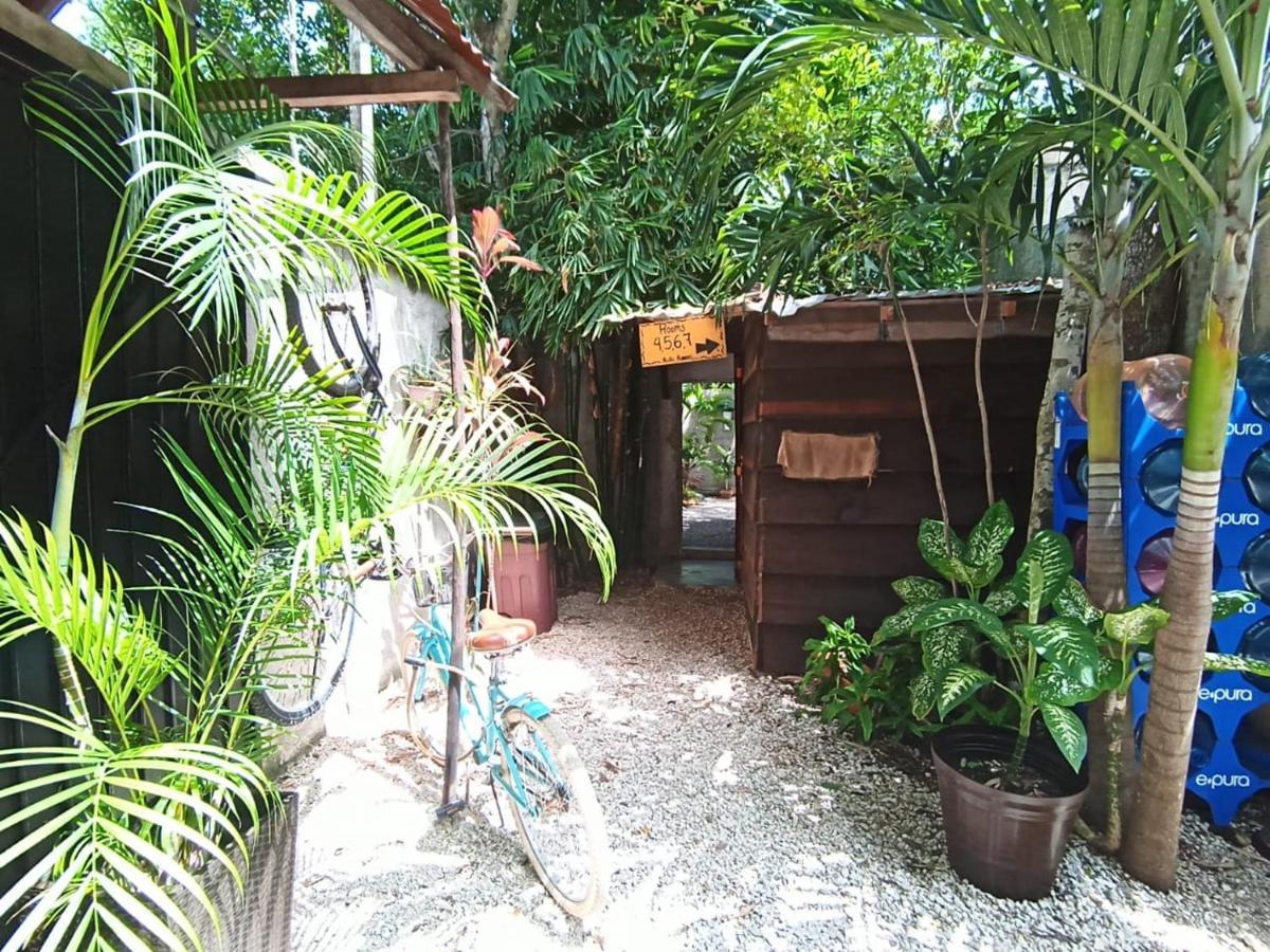 Primitive Selfcheck-in Adults Only Affittacamere Tulum